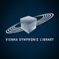 Vienna Ensemble Pro