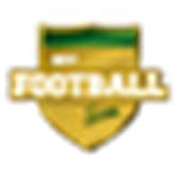 My Football Sim