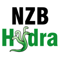 NZBHydra2