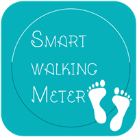 Smart Walking Meter