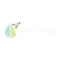 Anlance Business Intelligence