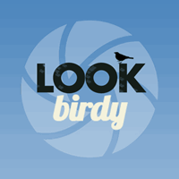 Look birdy