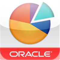 Oracle Business Indicators