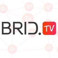 BridTV